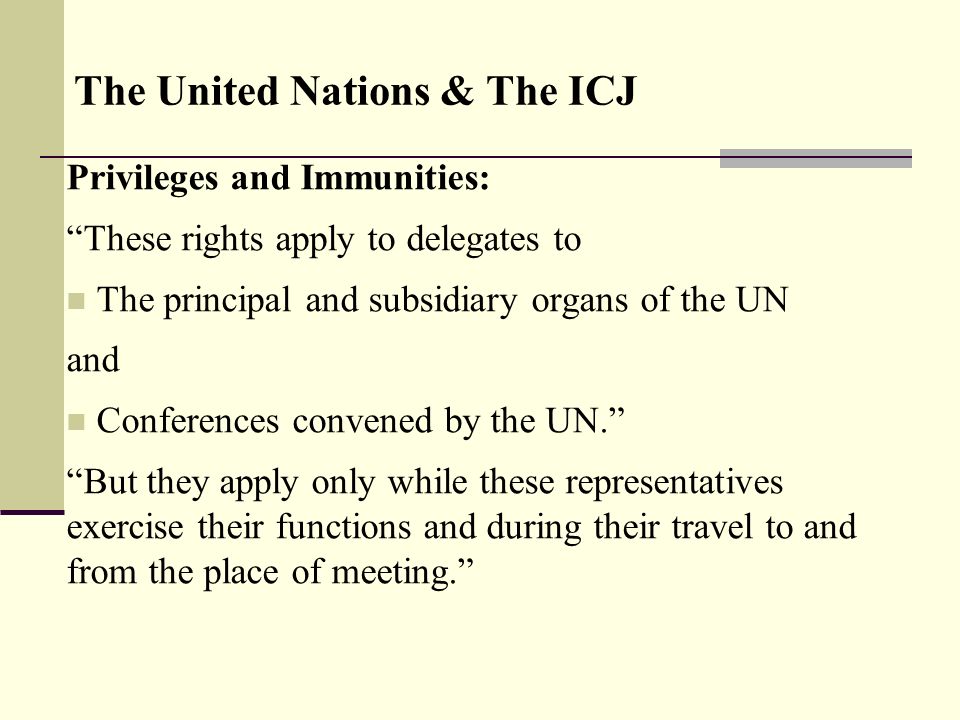 Essay on the United Nations Organization